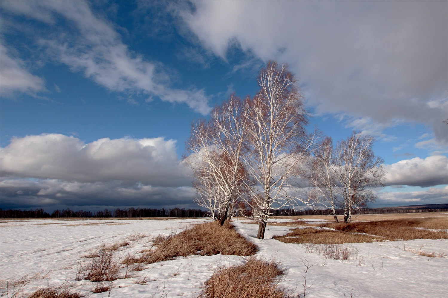 photo "***" tags: landscape, spring