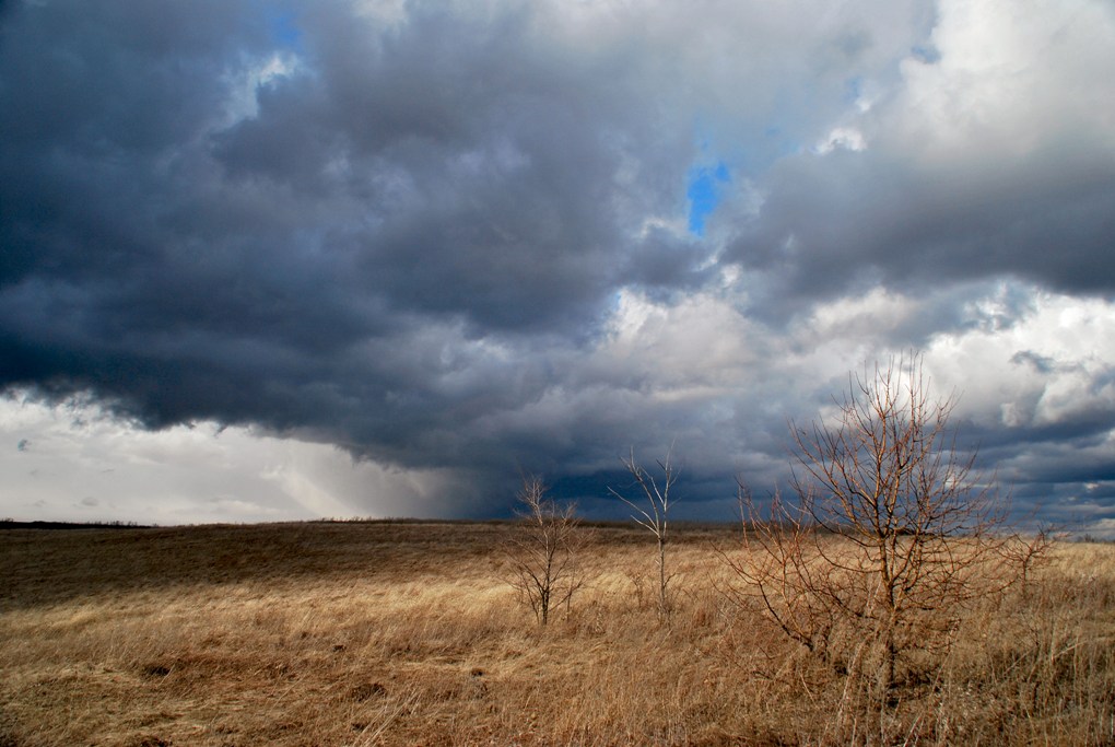 photo "***" tags: landscape, spring