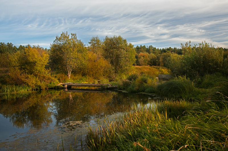 photo "***" tags: landscape, autumn