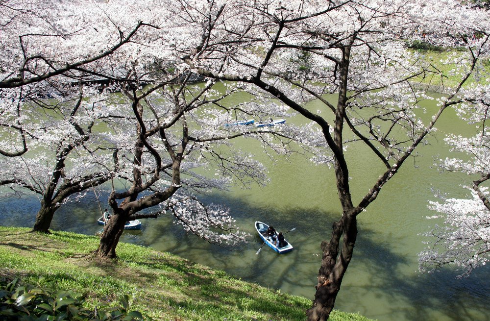 photo "***" tags: landscape, travel, Asia, spring