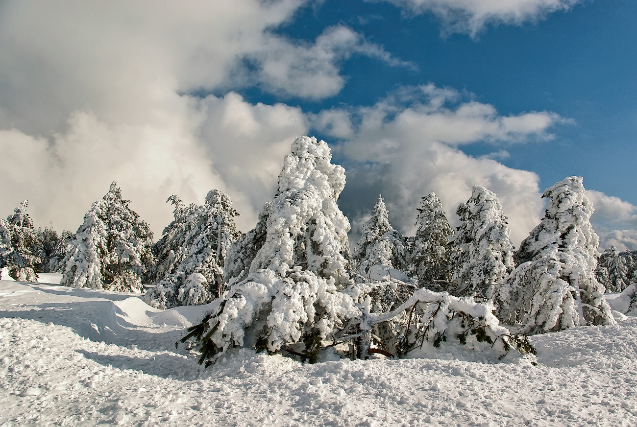 photo "***" tags: landscape, winter