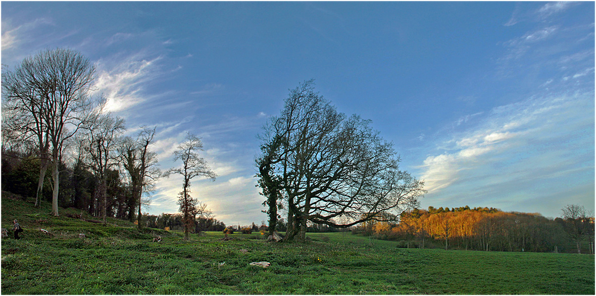 photo "April panoramic." tags: landscape, panoramic, evening, spring, sunset, дерева