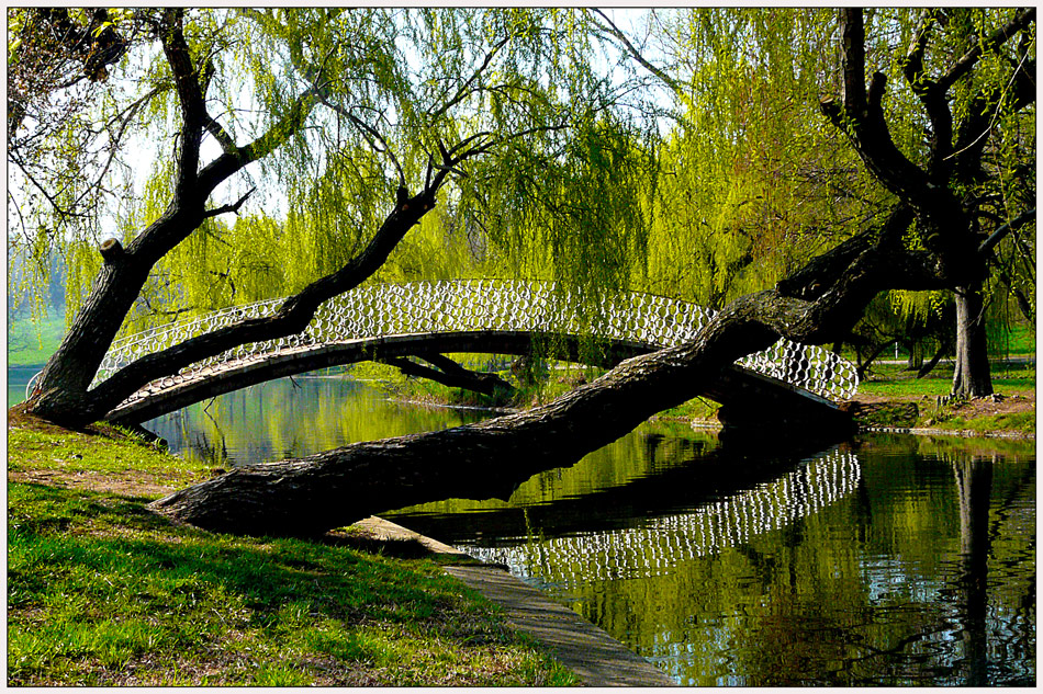 фото "Among the trees" метки: пейзаж, Бухарест, весна, вода, дерево, мост, парк