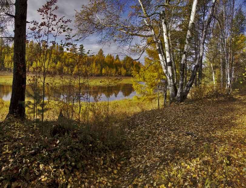 photo "***" tags: landscape, autumn, forest