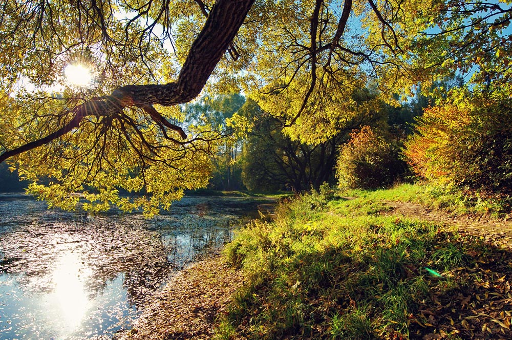 photo "***" tags: landscape, autumn, water