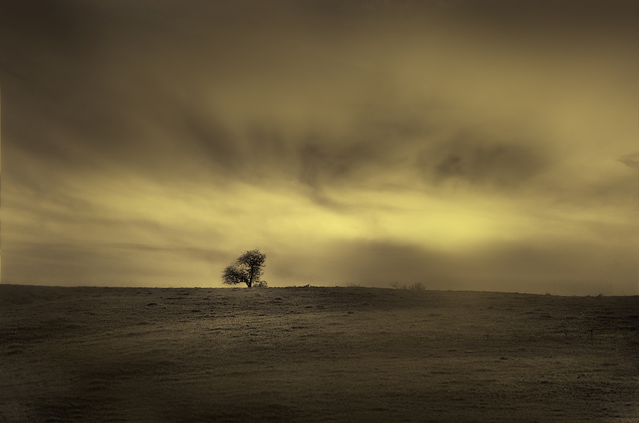 photo "One" tags: , 