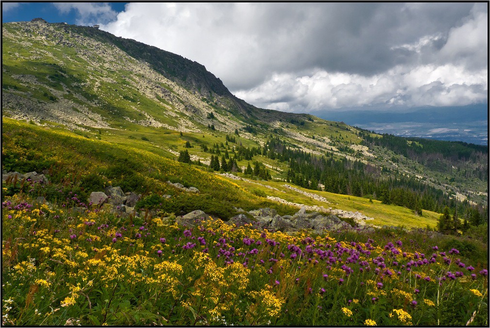 photo "***" tags: landscape, summer