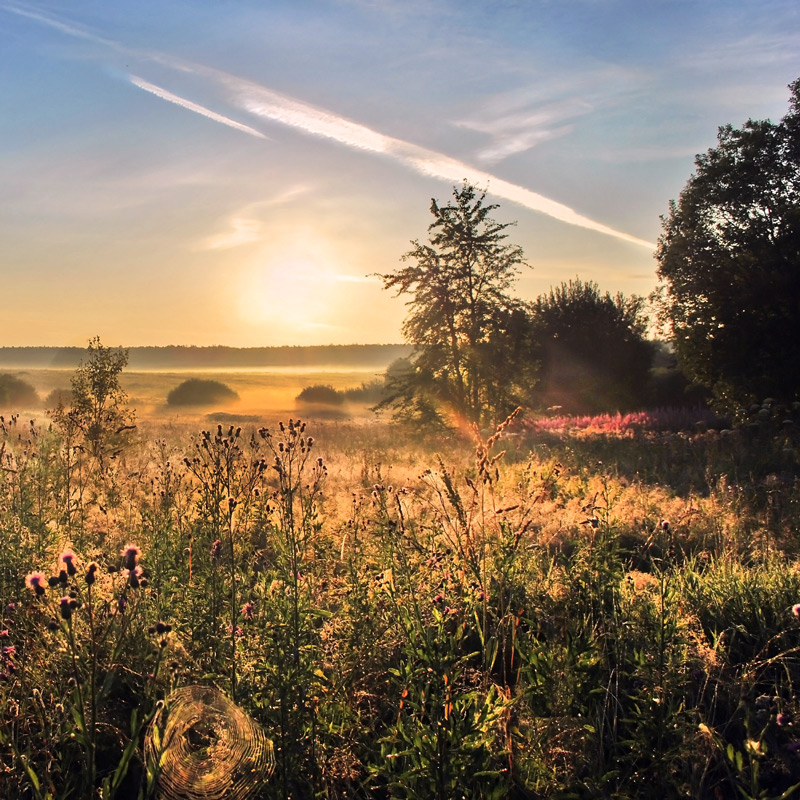 photo "***" tags: landscape, sunset