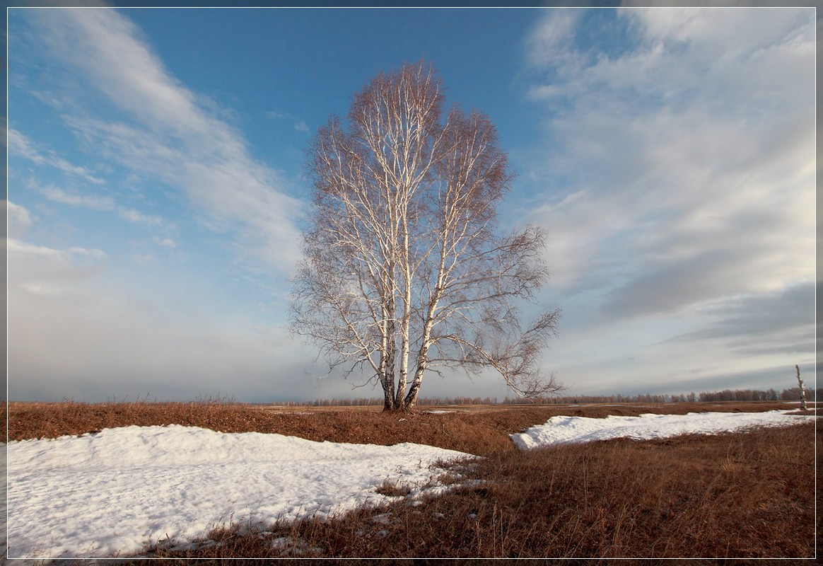 photo "***" tags: landscape, spring