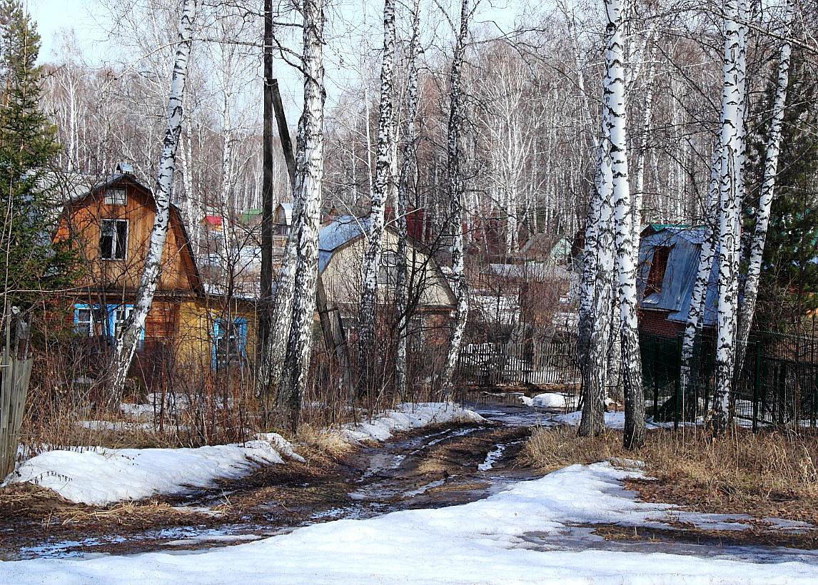 фото "Весеннесадовый мотив" метки: пейзаж, зима