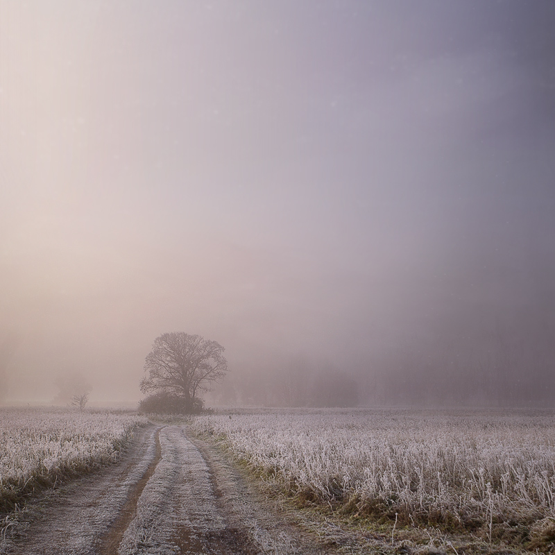 photo "***" tags: landscape, sunset