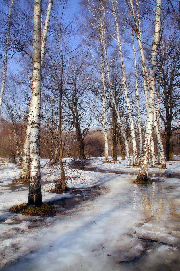 photo "***" tags: landscape, spring