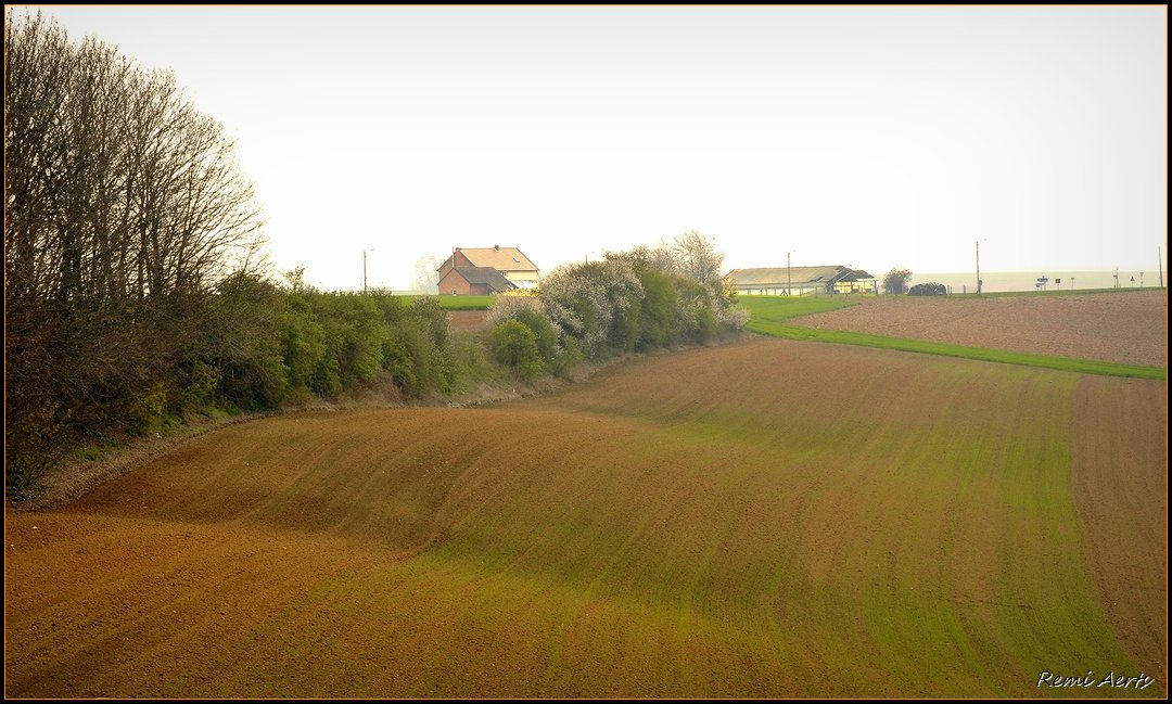 photo "undulating field" tags: landscape, nature, spring