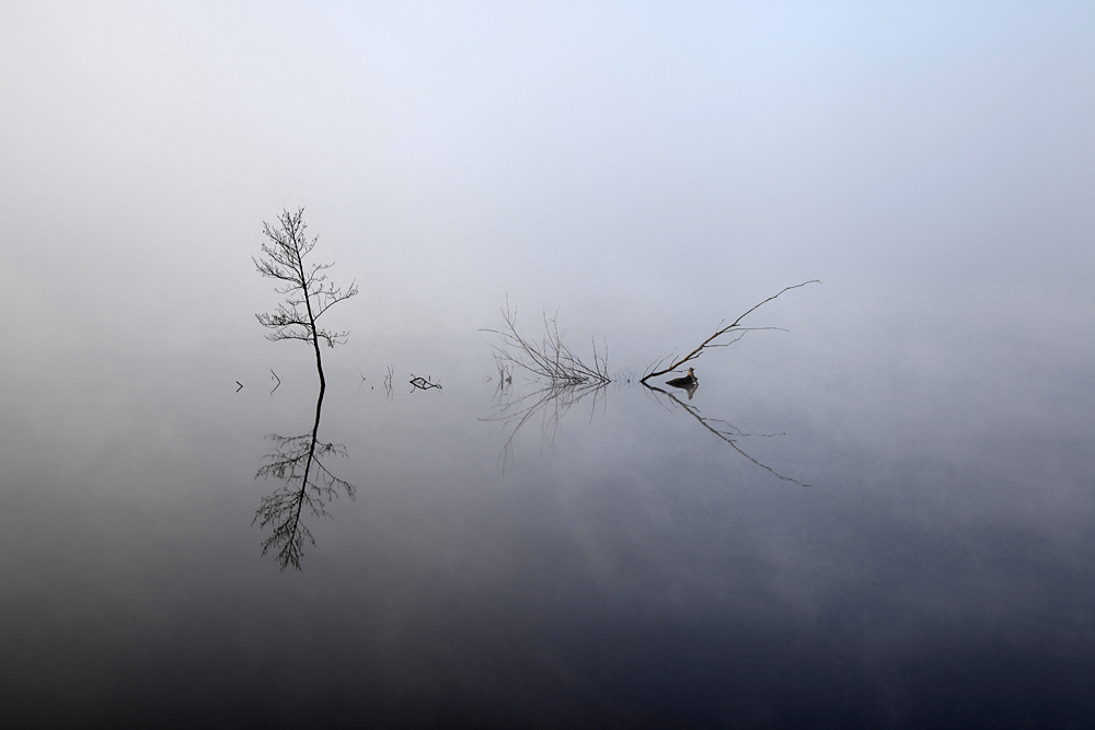 фото "Туман" метки: пейзаж, весна, вода