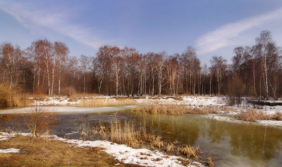 фото "Апрель" метки: пейзаж, весна