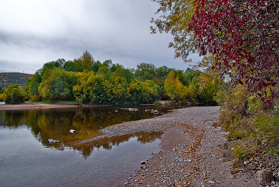 photo "***" tags: landscape, autumn, forest