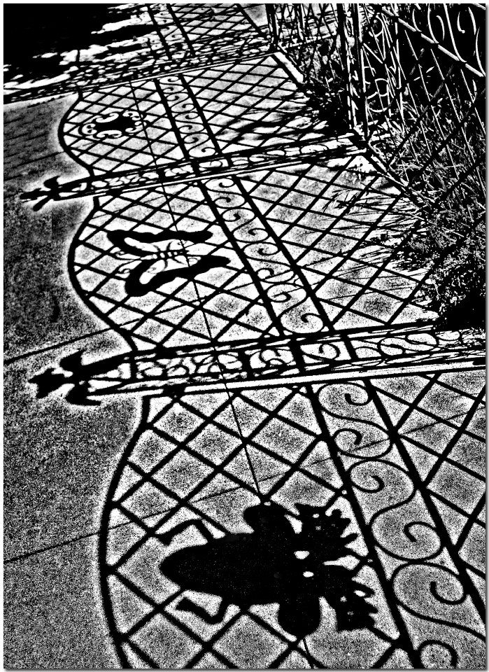photo "Sidewalk Shadows" tags: abstract, black&white, 