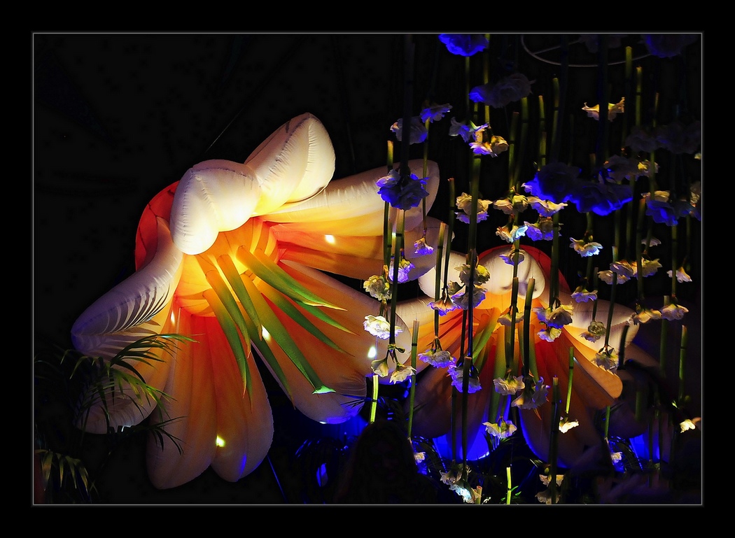 photo "***" tags: reporting, nature, flowers