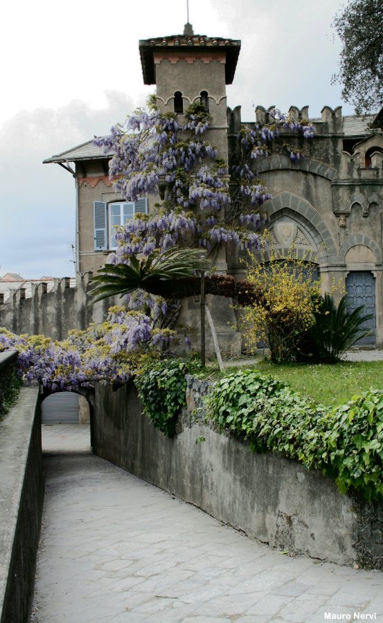 photo "in the Arenzano's  park, Genoa" tags: landscape, 