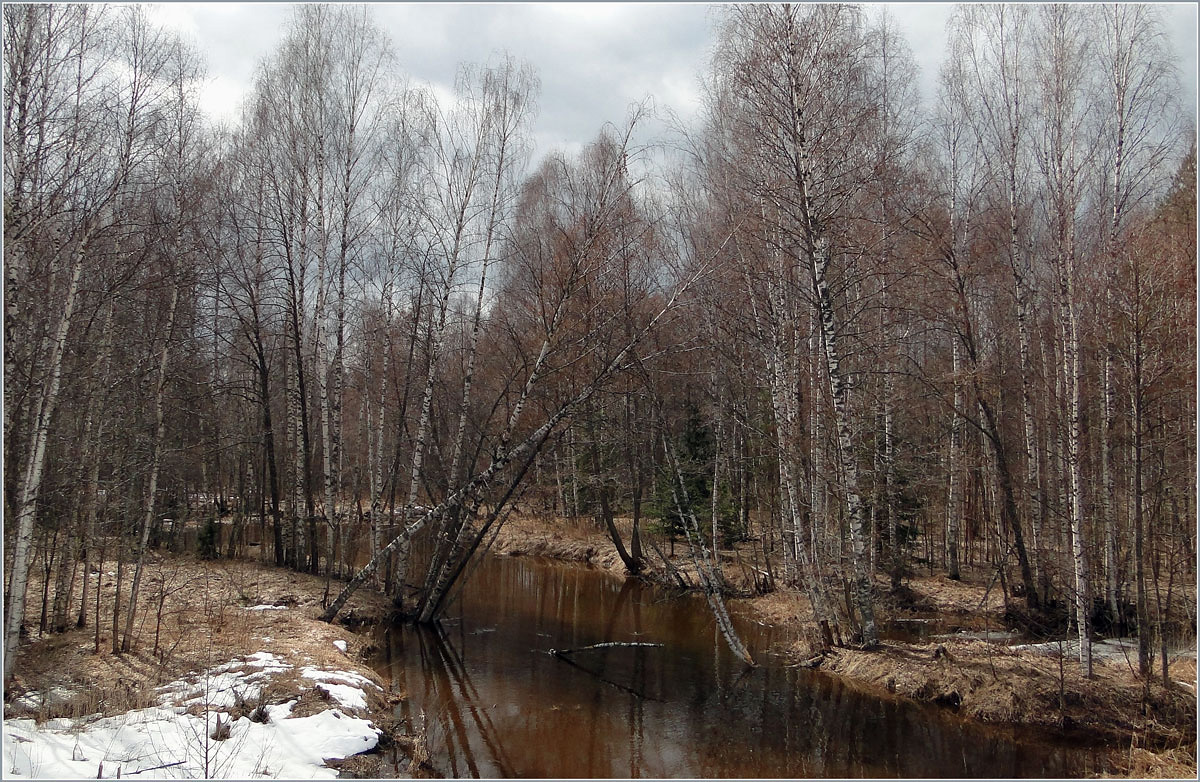 photo "***" tags: landscape, forest, spring