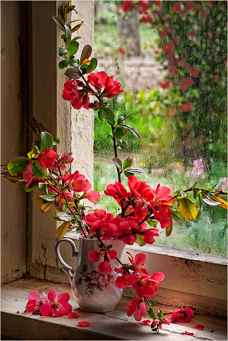 photo "***" tags: still life, 