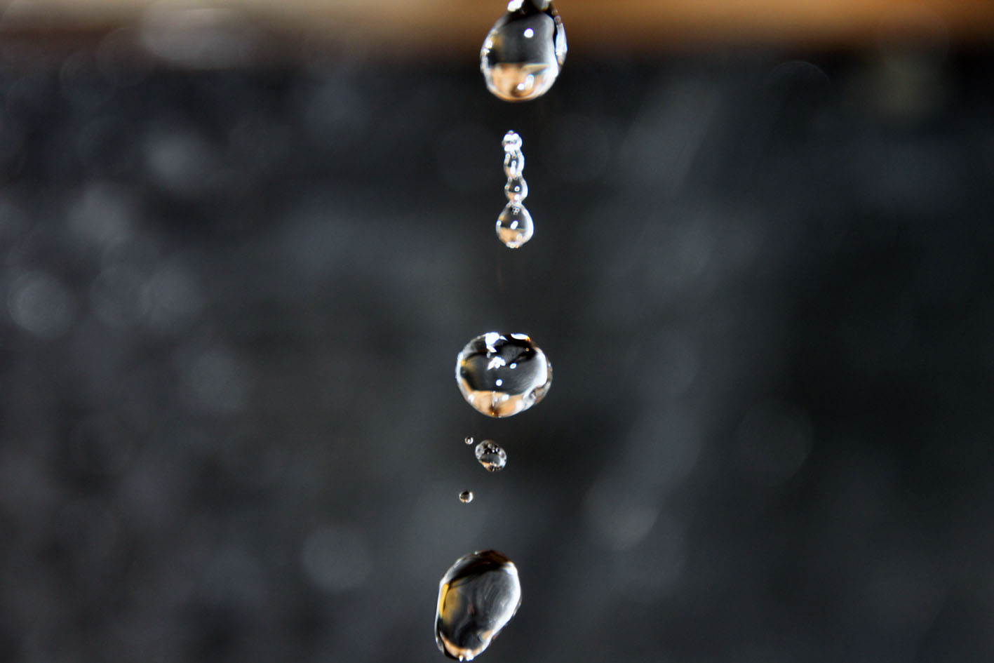 photo "***" tags: macro and close-up, 
