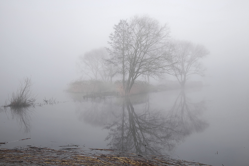 photo "***" tags: landscape, spring, water