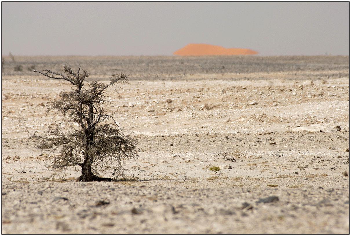 photo "The color of the desert - 2" tags: landscape, travel, Asia