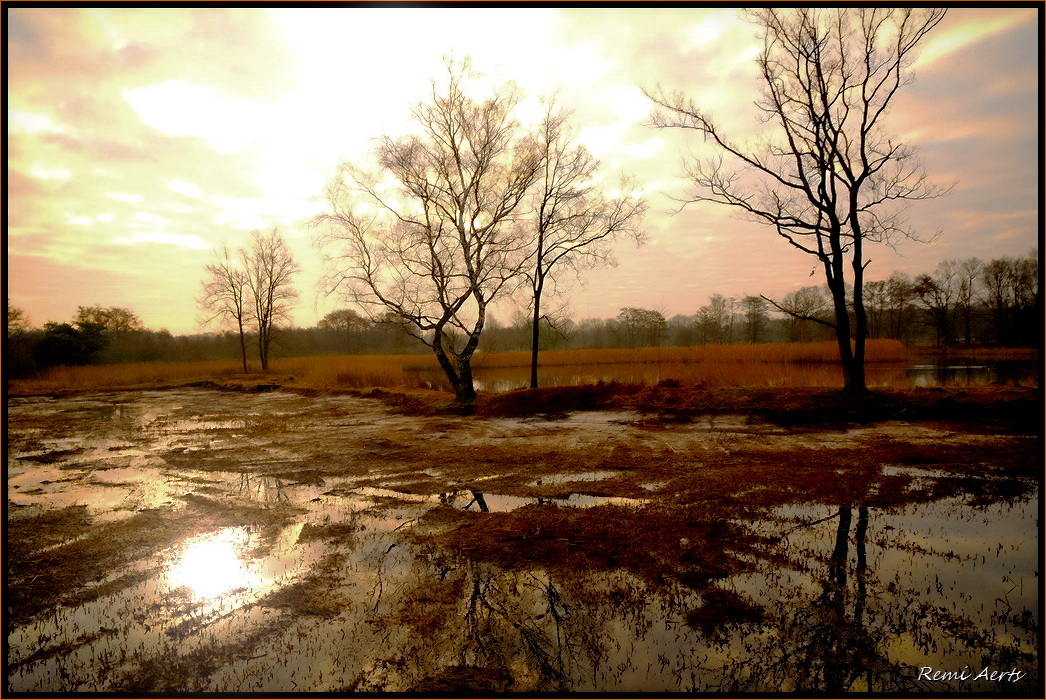 photo "***" tags: landscape, spring, sunset