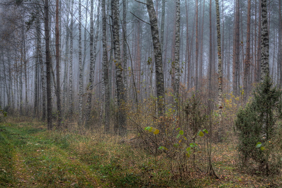 фото "." метки: пейзаж, 