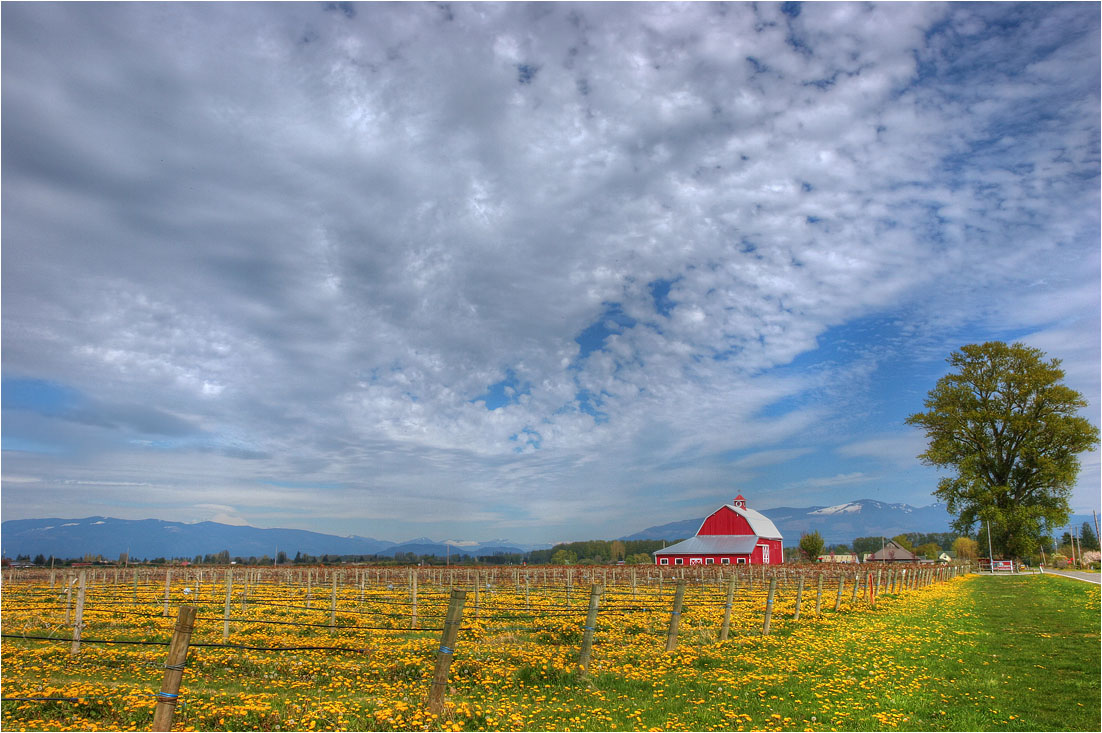 photo "Country landscape. Rancho." tags: landscape, clouds, spring