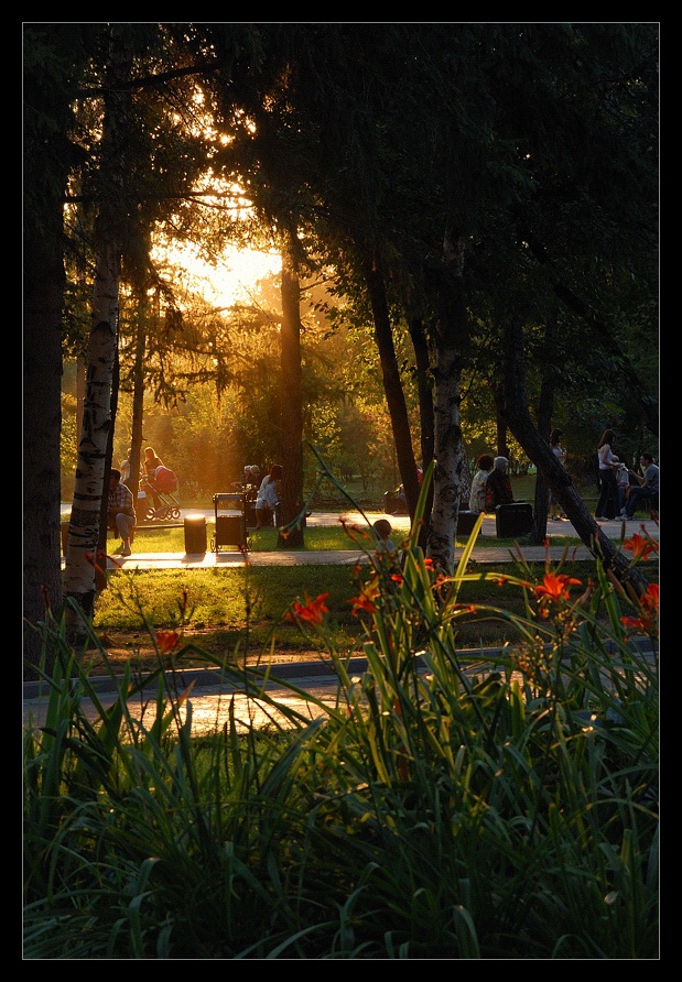фото "Вечер в парке" метки: пейзаж, лето