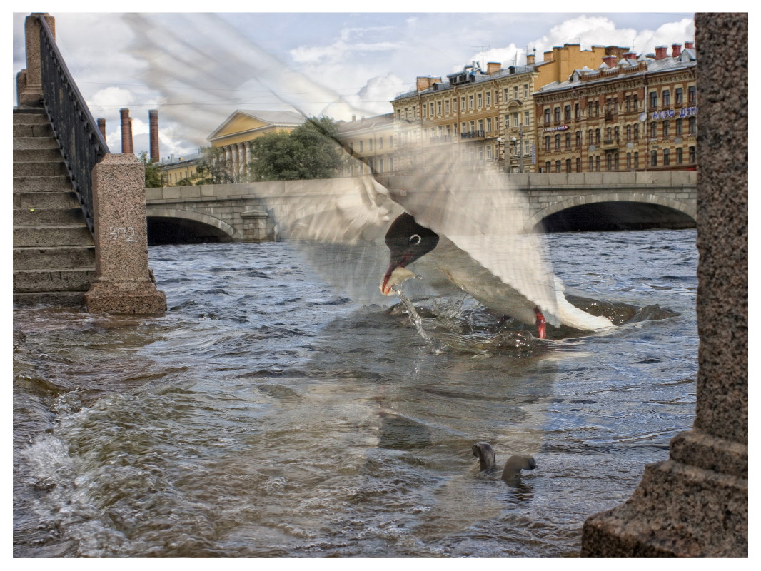 фото "Маленькое наводнение" метки: фотомонтаж, 