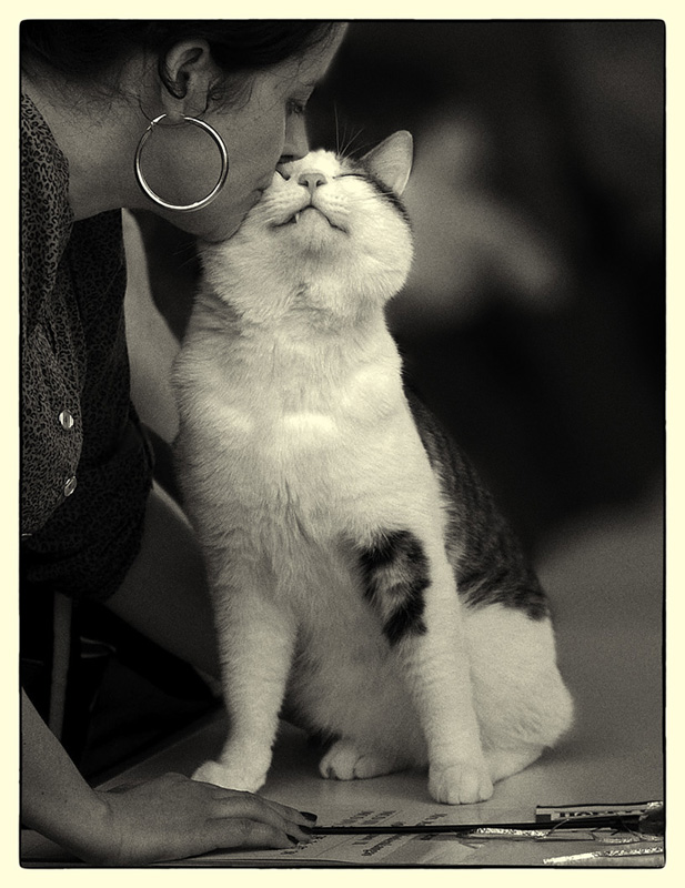 photo "***" tags: nature, pets/farm animals