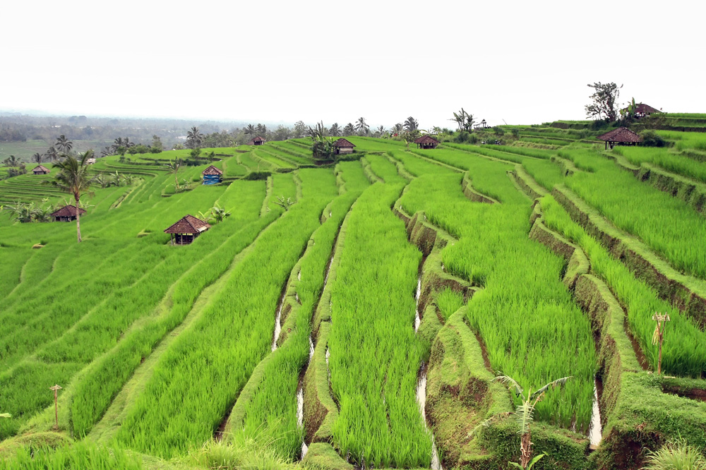 photo "***" tags: landscape, travel, Asia