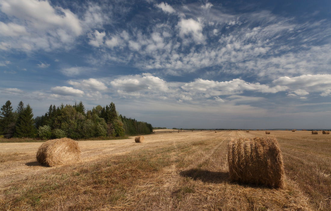 photo "***" tags: landscape, autumn