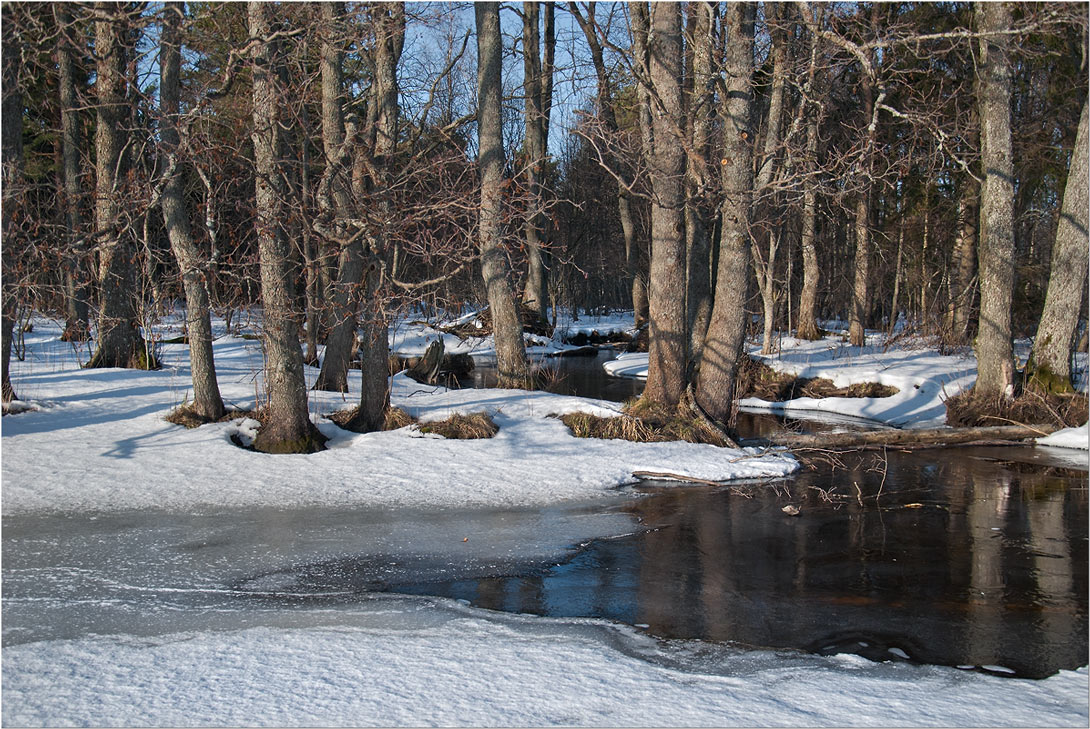 photo "***" tags: landscape, spring