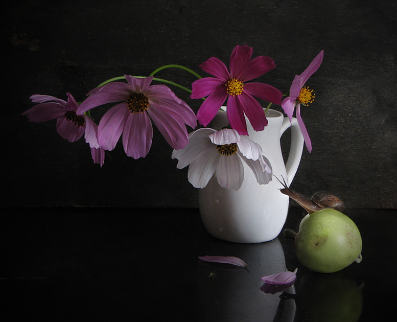 photo "***" tags: still life, 