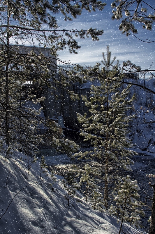 photo "***" tags: landscape, forest, winter