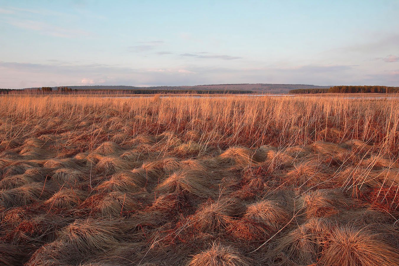 photo "***" tags: landscape, spring