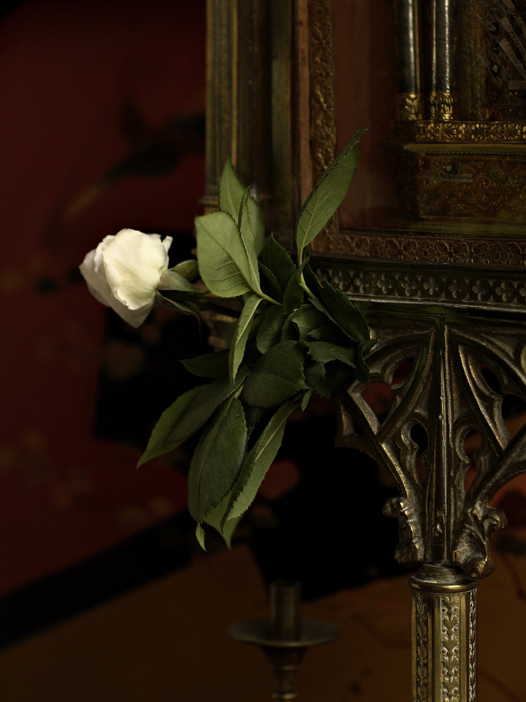 photo "***" tags: interior, 
