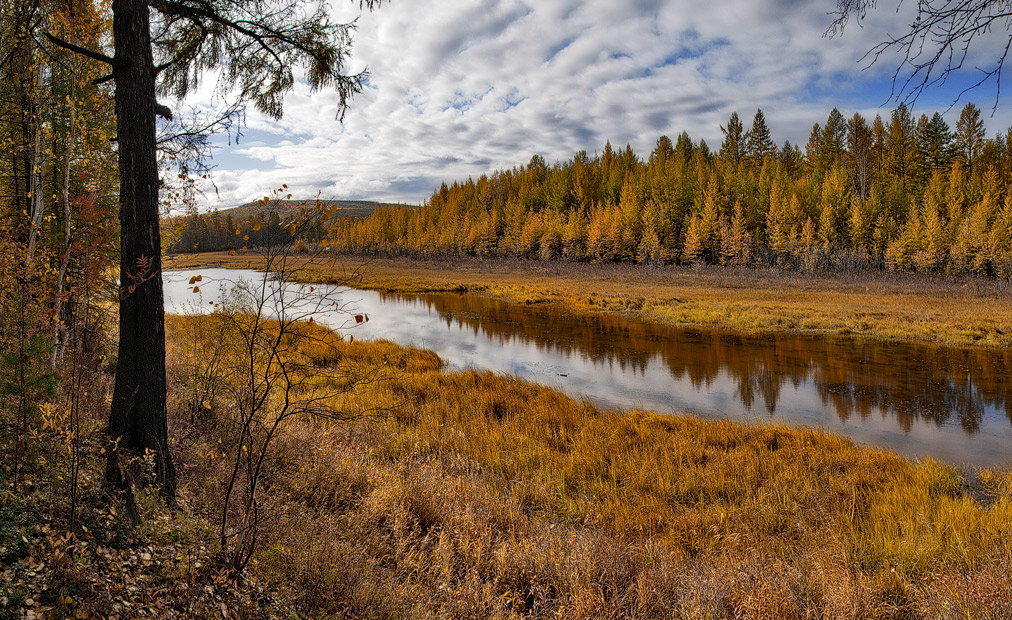 photo "***" tags: landscape, autumn, forest