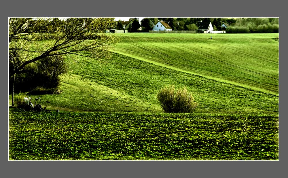 photo "пейзаж в зелено..." tags: landscape, genre, 