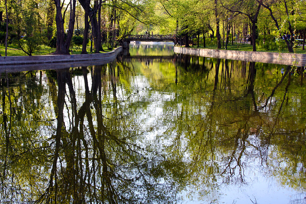 фото "Spring reflexes" метки: пейзаж, Бухарест, весна, вода, дерево, парк
