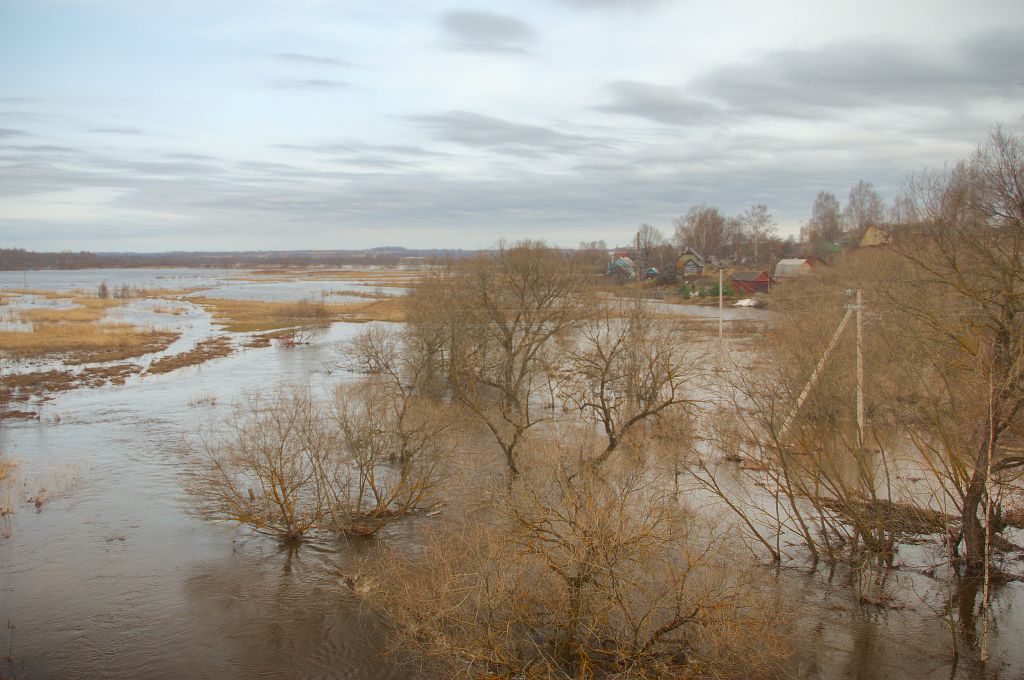 фото "Сила весны" метки: , 