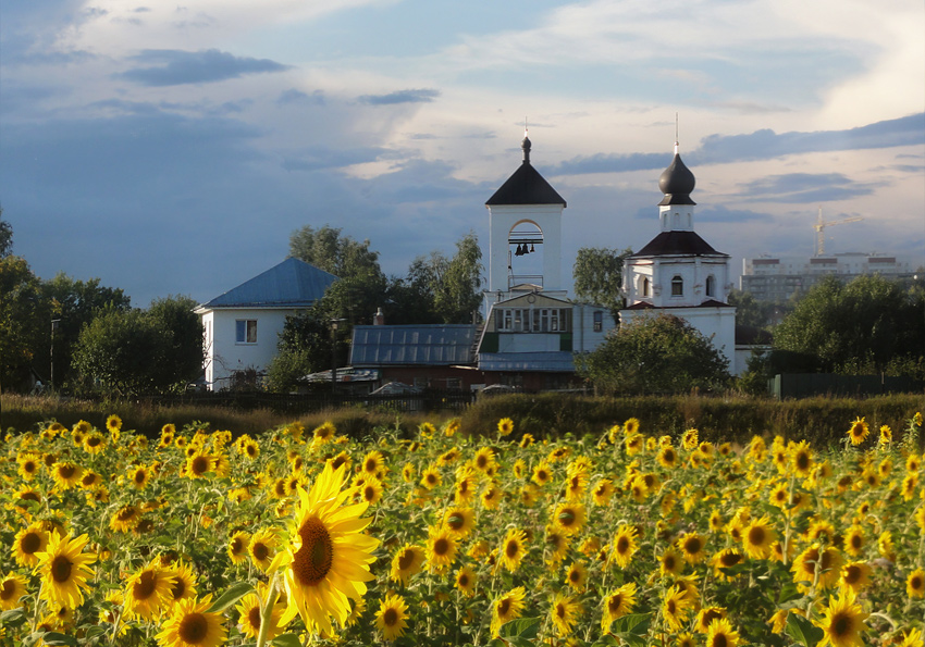 photo "***" tags: landscape, summer