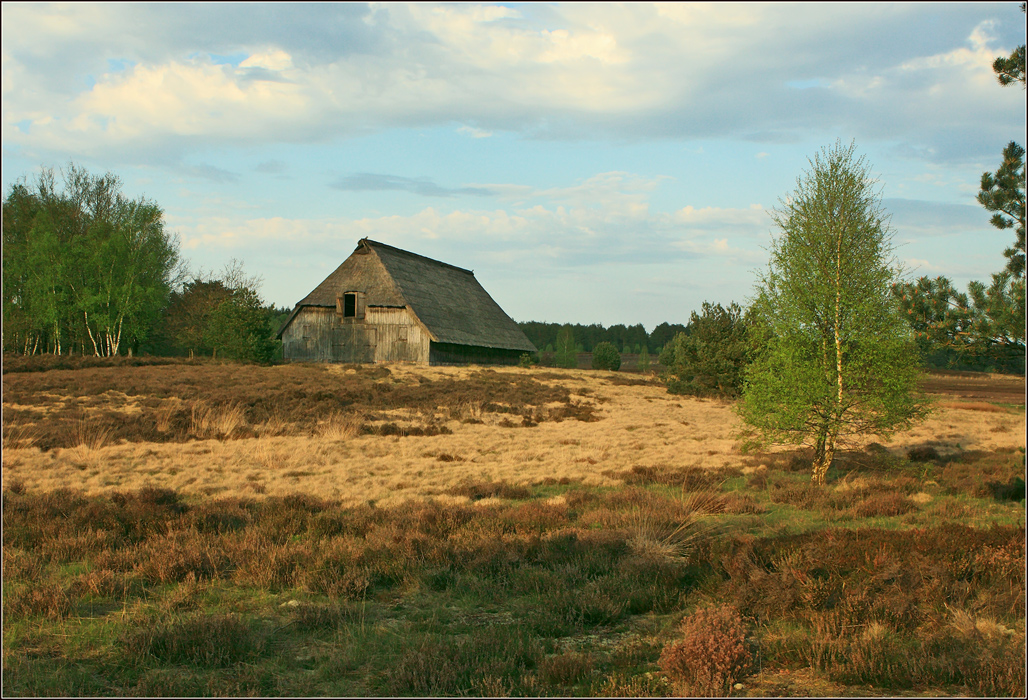 photo "***" tags: landscape, forest, spring