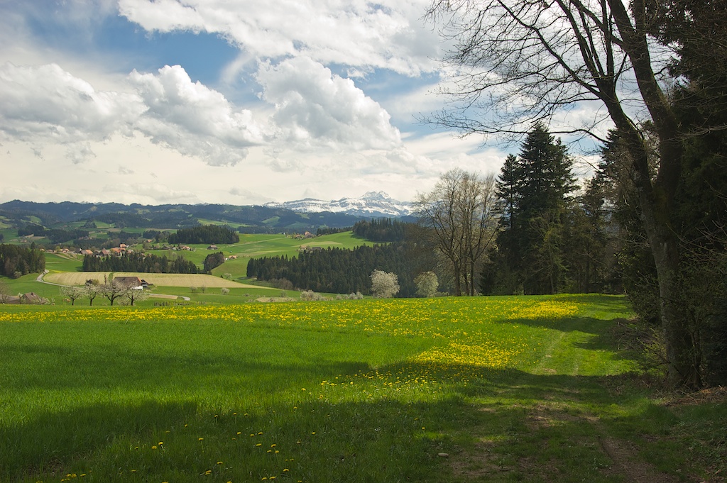 photo "***" tags: landscape, mountains, spring