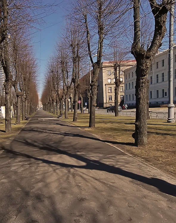 фото "Аллея..." метки: пейзаж, город, весна