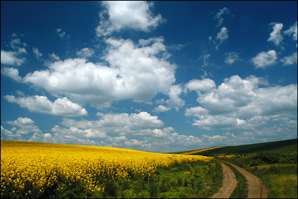 photo "Spring landscape." tags: landscape, clouds, sky, spring